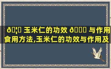 🦅 玉米仁的功效 🐘 与作用及食用方法,玉米仁的功效与作用及食用方法*